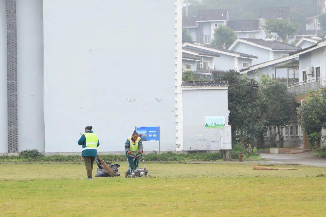 重庆江北五宝最新资讯一览