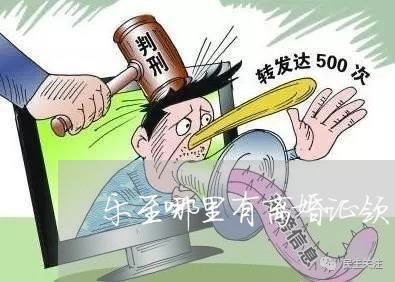 “探寻乐至县最新动态，尽览县域资讯风向标”