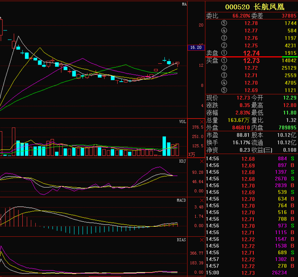 今日最新动态：长航凤凰公司资讯速递